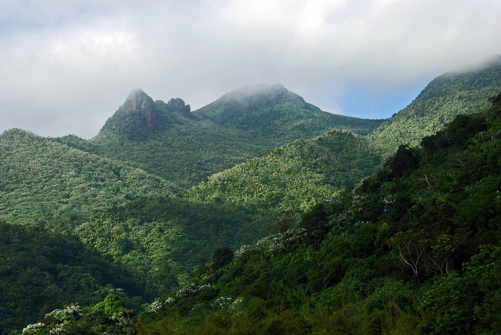 El Yunque National Forest